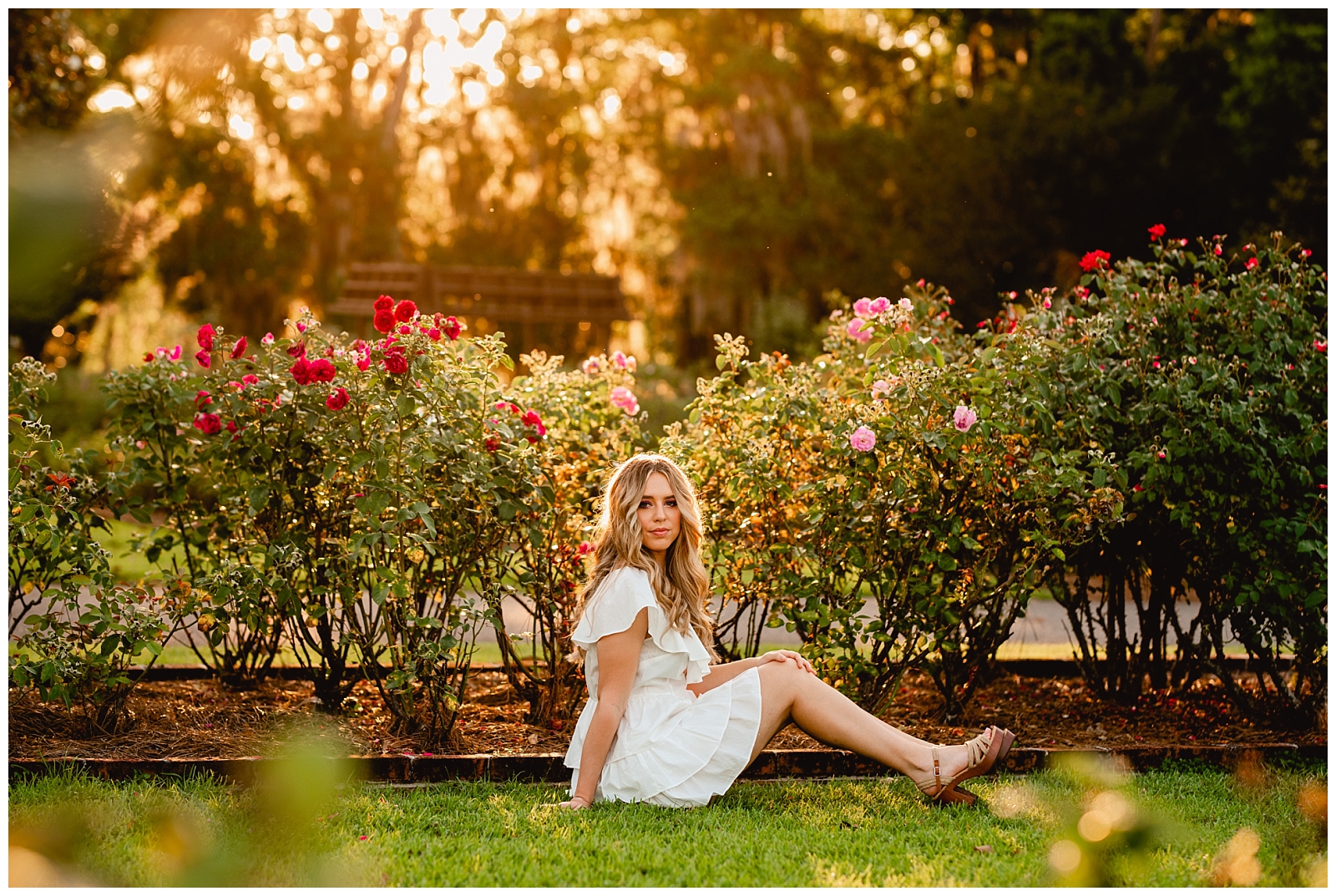 Thomasville rose garden, girl in white dress at sunset in the garden. Shelly Williams Photography.
