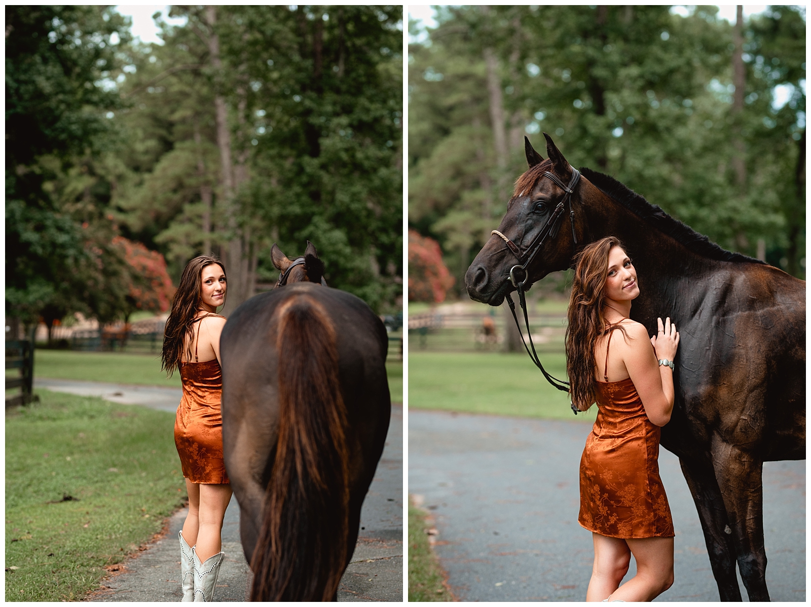 Black off track Thoroughbred at Coventry Farms in Tallahassee, Florida.
