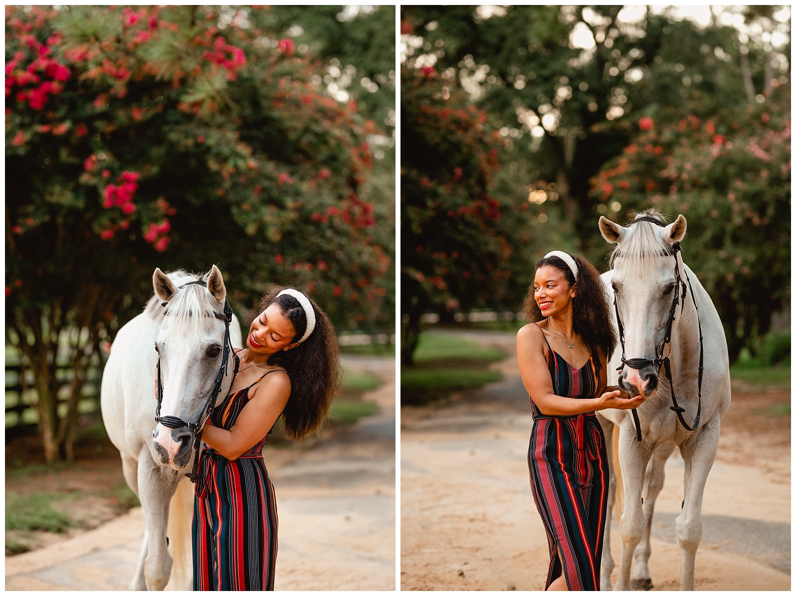 Grey off track Thoroughbred poses for horse and rider photoshoot at Coventry Farms in Tallahassee, FL.